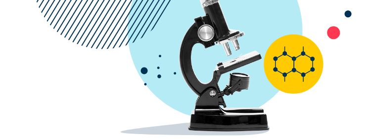 上海诺达双语国际学校丨IB A-Level课程 - 04 Image-50-pattern